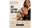 Premium Handmade Leather Dog Collar for Everyday Comfort