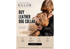 Premium Leather Dog Collars for Everyday Comfort