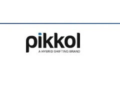 International Parcel Deliver Worldwide with Speed and Care