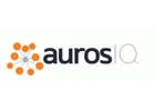 Auros Knowledge Systems