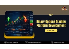 Binary Options Trading Platform Development for Market Expansion