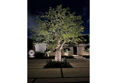 LED landscape lighting Coral Gables