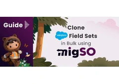 Clone Salesforce Fields Easily with migSO – Native Salesforce Metadata Management