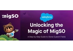 Salesforce Metadata Migration App | Migrate Metadata one org to Another