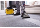 Refresh Your Carpets with Expert Steam Cleaning in Allentown, PA