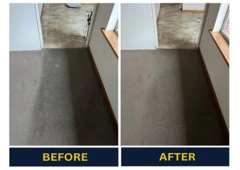 Need Professional Carpet Cleaning in Adelaide? We’ve Got You Covered