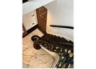 Explore Different Types of Stairs for Your Home