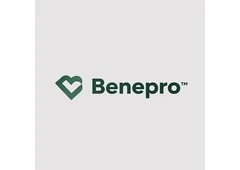 BENEPRO The Benefit Professionals