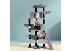Cat Scratching Posts for Play, Stretching and Indoor Activity