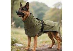 Dog Apparel for Every Season, Walk and Outdoor Adventure