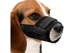 Dog Muzzles for Better Handling, Training and Everyday Control