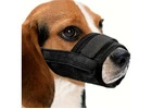 Dog Muzzles for Better Handling, Training and Everyday Control