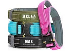 Pet ID Tags for Clear Identification and Easier Animal Care