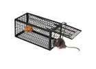 Animal Traps for Smarter Pest Management Around Your Property