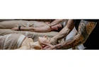 Do you want to learn what is holistic massage? Come to QSMH2 to join a course