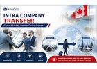 Easy Intra Company Transfer Assistance by ****affix