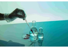 Explore Research Peptides Online Today