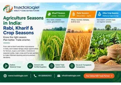 Agriculture Seasons in India: Rabi, Kharif & Crop Seasons