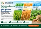 Agriculture Seasons in India: Rabi, Kharif & Crop Seasons