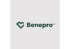 BENEPRO The Benefit Professionals