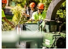 Tree felling Adelaide hills