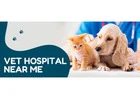Vet Hospital Near Me  | CGS Hospital
