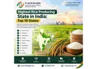 Highest Rice Producing State in India: Top 10 States