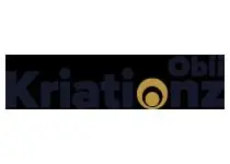 Obii Kriationz: Elevate Your Product Success with Expert Consulting!