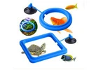Keep Aquarium Feeding Neat With Convenient Fish Feeding Rings