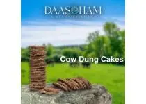 Cow Dung Cakes For Ayusha Homa  