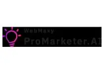 Automate Paid Ad Campaigns | ProMarketer.AI | WebMaxy 