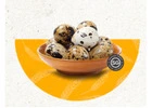 Fresh & Quality Eggs Provider in Singapore