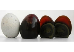 Buy Quality Century Eggs in Singapore