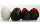 Buy Quality Century Eggs in Singapore