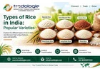 Types of Rice in India: Popular Varieties | Tradologie