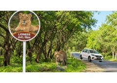 Explore Junagadh with a Comfortable Ertiga Taxi Service