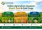 Indian Agriculture Seasons: Kharif, Rabi & Zaid Crops
