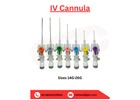 Buy High Quality IV Cannula Manufacturer From India