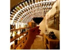 What is the best food tasting and wine pairing in Rome?