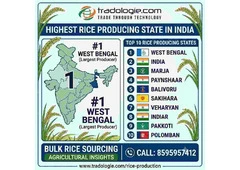 Highest Rice Producing State in India | Top 10 States