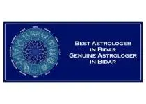 Best Astrologer in Kamal Nagar 