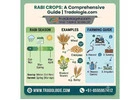 Rabi Crops List: Examples, Season & Farming Guide | Tradologie