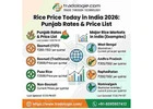 Rice Price Today in India 2026: Punjab Rates & Price List | Tradologie