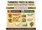 Turmeric Price in India: Mandi Rates & Export Prices | Tradologie