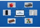 Get yourself Custom AI Data annotation services for AI & ML Development