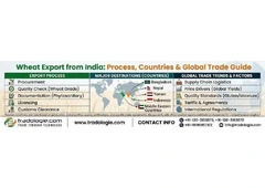 Wheat Export from India: Process, Countries & Global Trade Guide