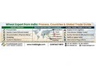 Wheat Export from India: Process, Countries & Global Trade Guide